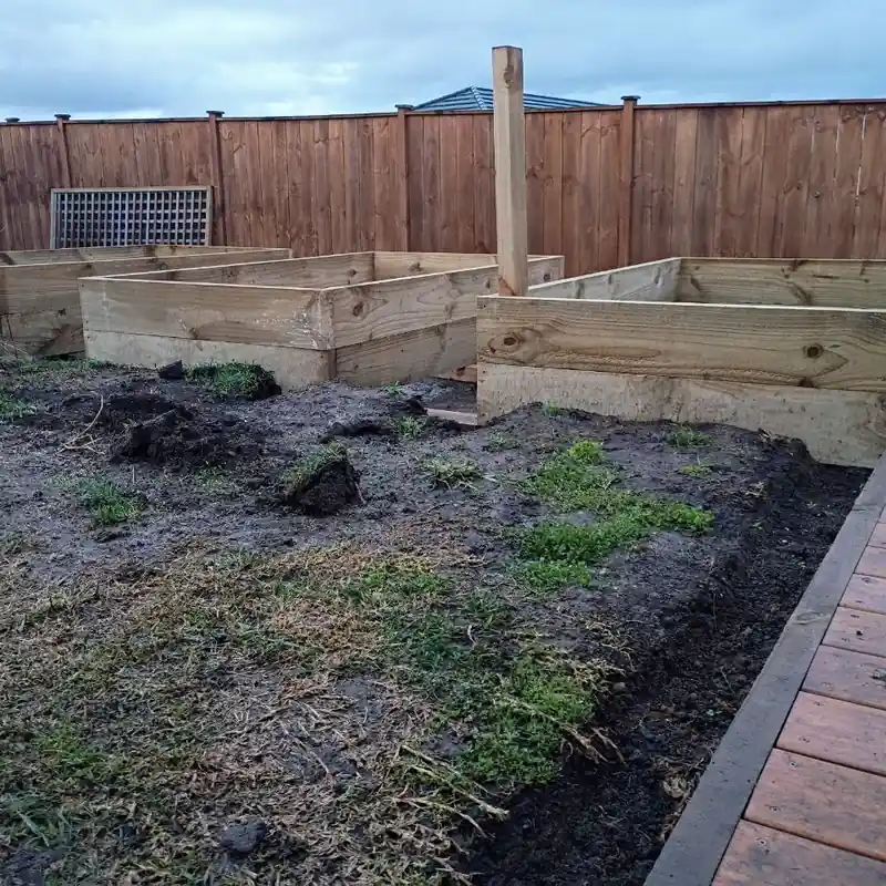The beds part way through being built in April, raw timber boxes going together on churned mud with the fence behind