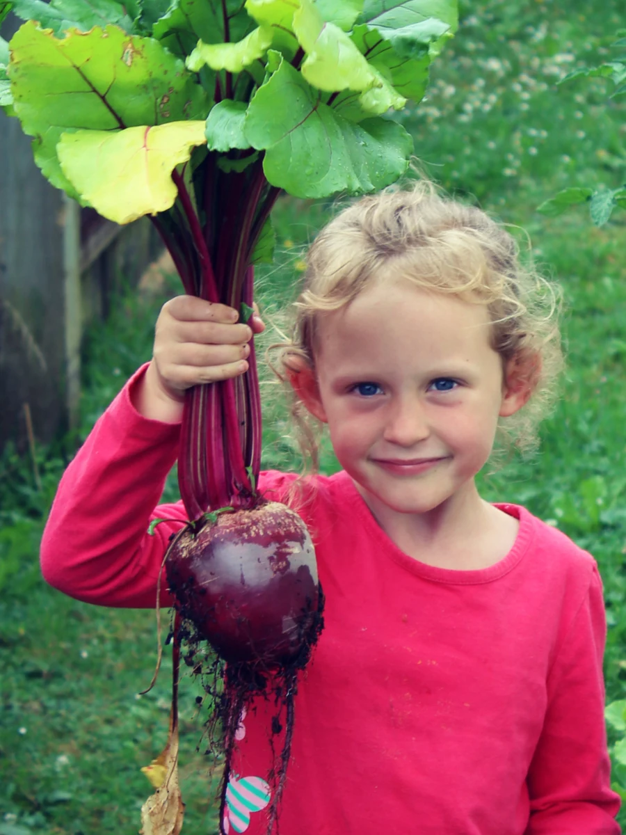 One of the girls holding up an enormous beetroot by its stalks, the leaves reaching up over her head