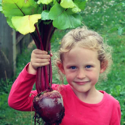 One of the girls holding up an enormous beetroot by its stalks
