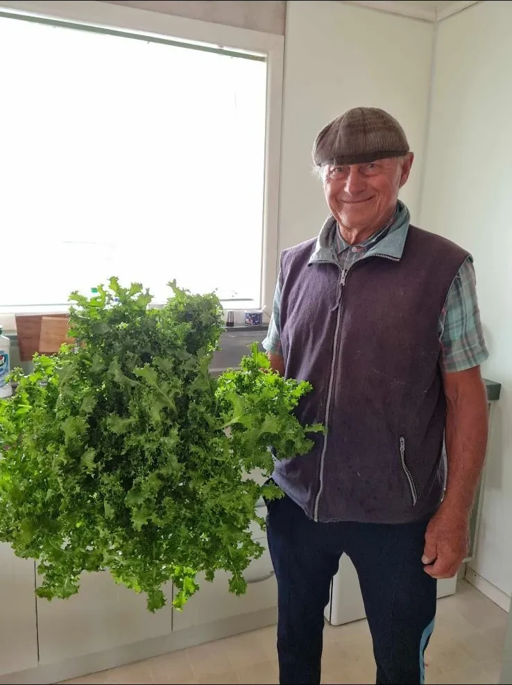 My dad in a flat cap, smiling as he holds up an enormous head of curly kale he grew