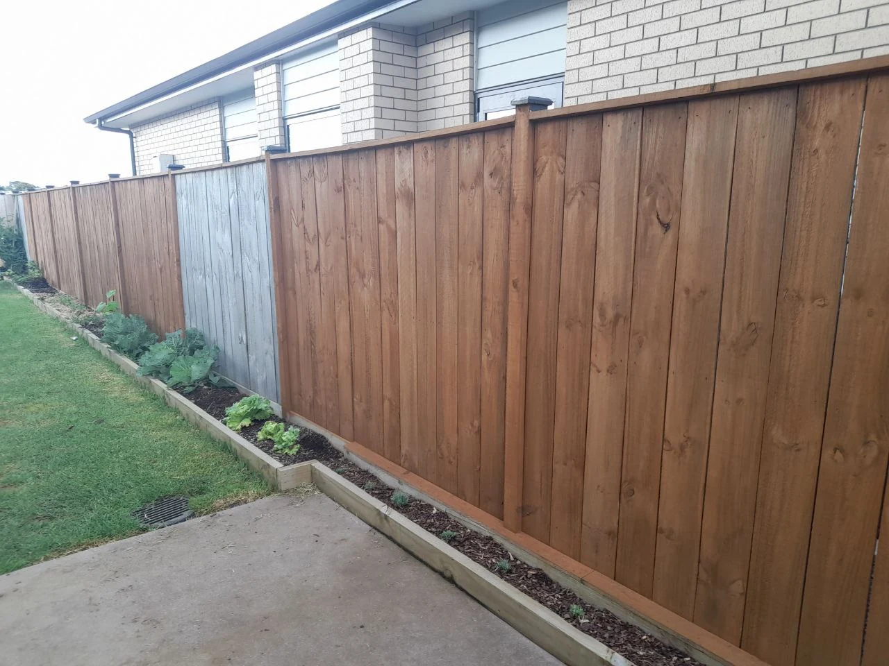 The side fence in 2022, half of it stained dark and half still raw timber, with the new border bed planted along its base