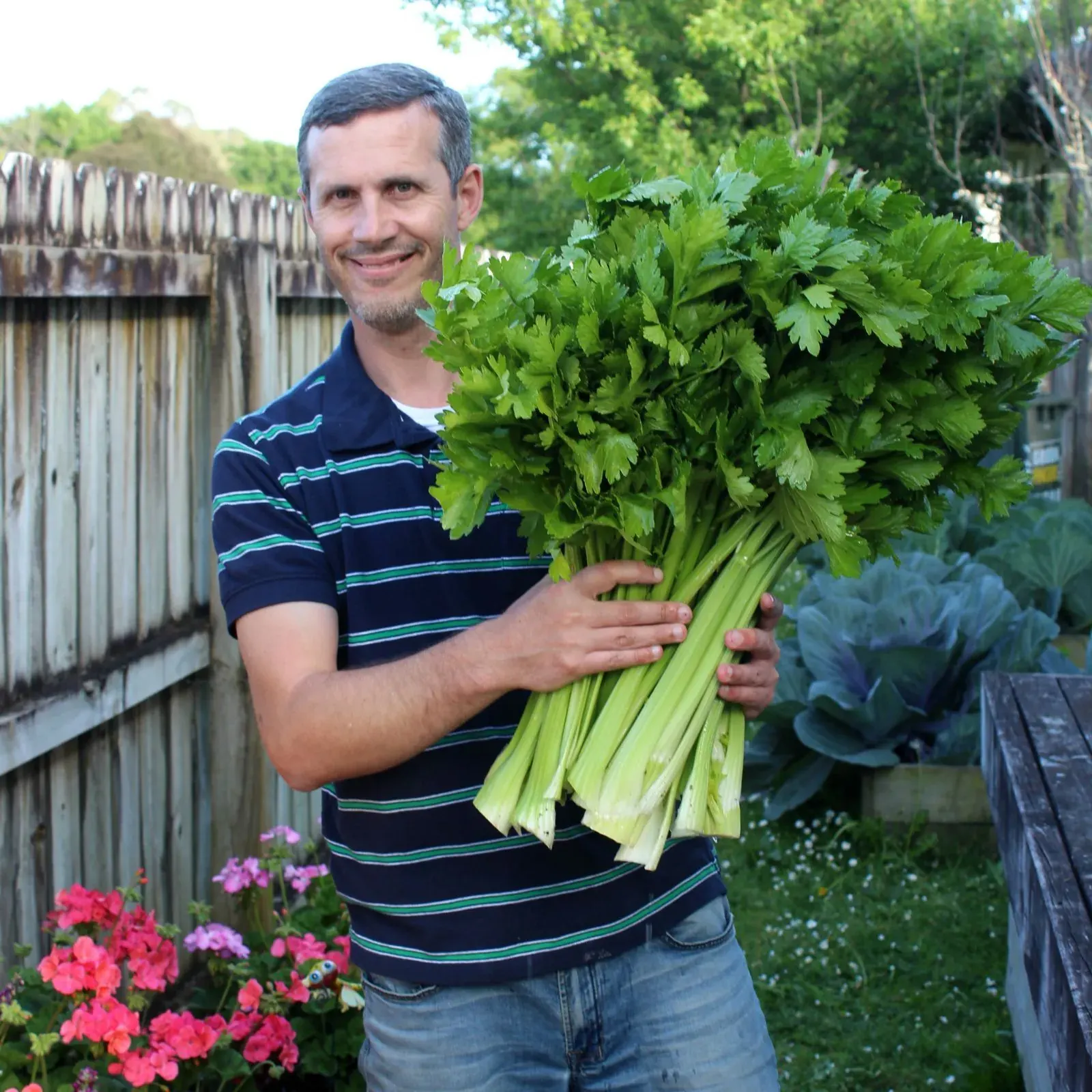 Me in the back garden holding up a big bunch of celery I grew, with red cabbages and geraniums behind me