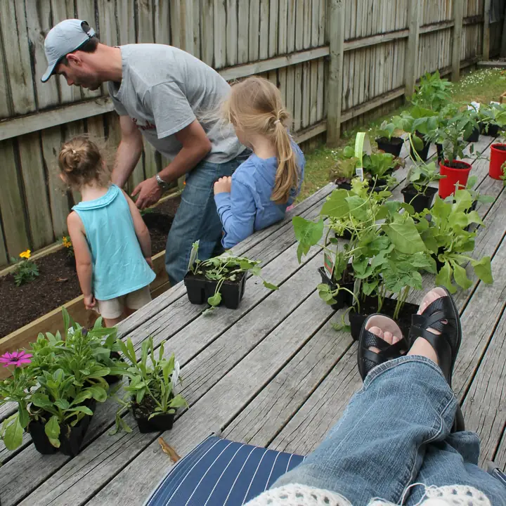 Punnets of seedlings spread across the deck while we plant, with two of the girls helping at the bed