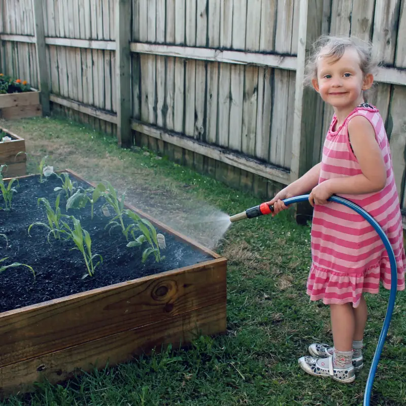 One of the girls watering a bed of young corn seedlings with the hose
