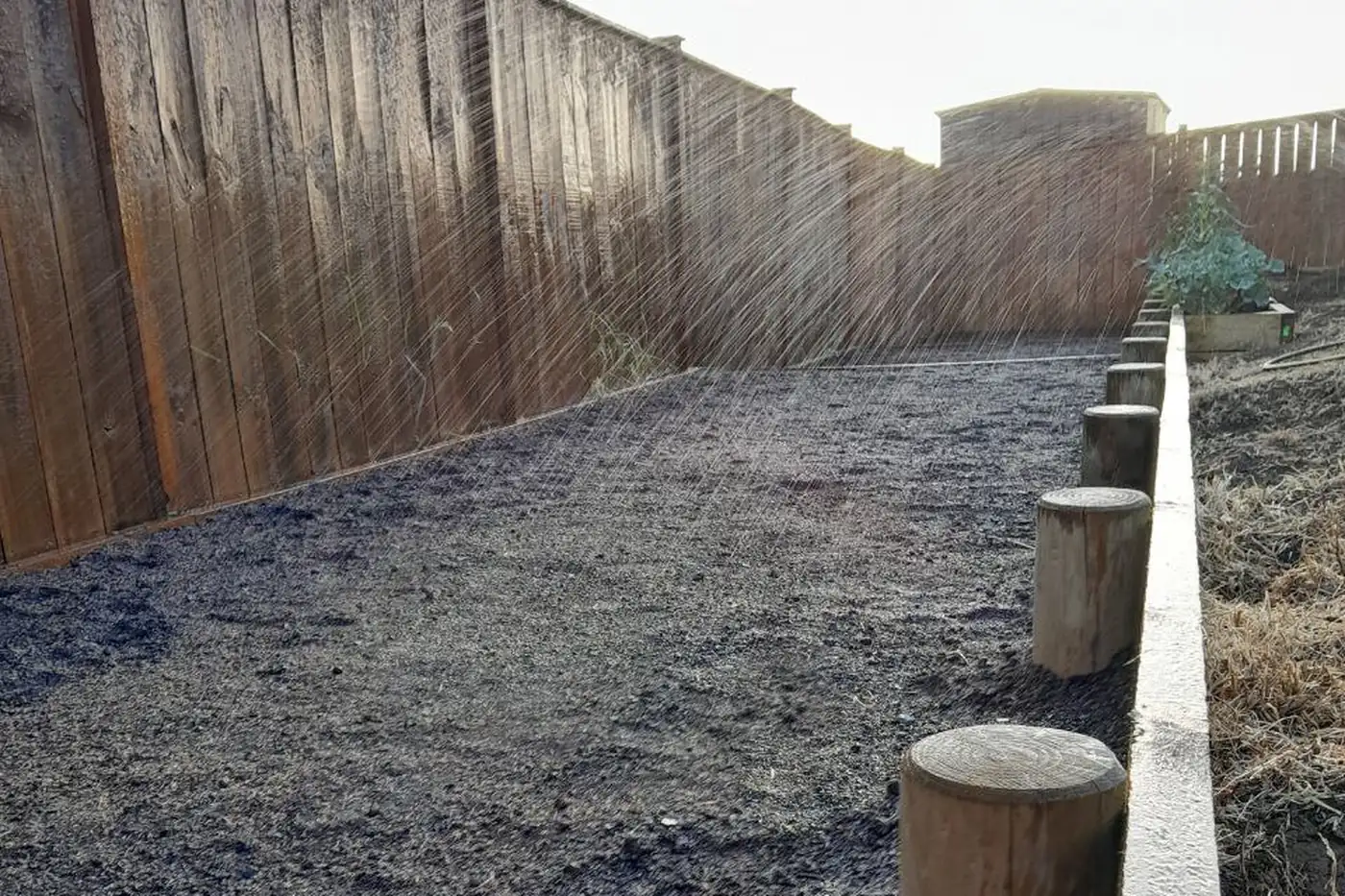 The sprinkler running over the newly sown back lawn, spray catching the light against the fence and the timber edge running away down the side