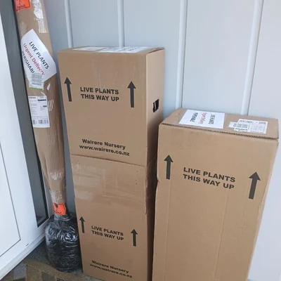 Cartons marked LIVE PLANTS THIS WAY UP stacked on the doorstep