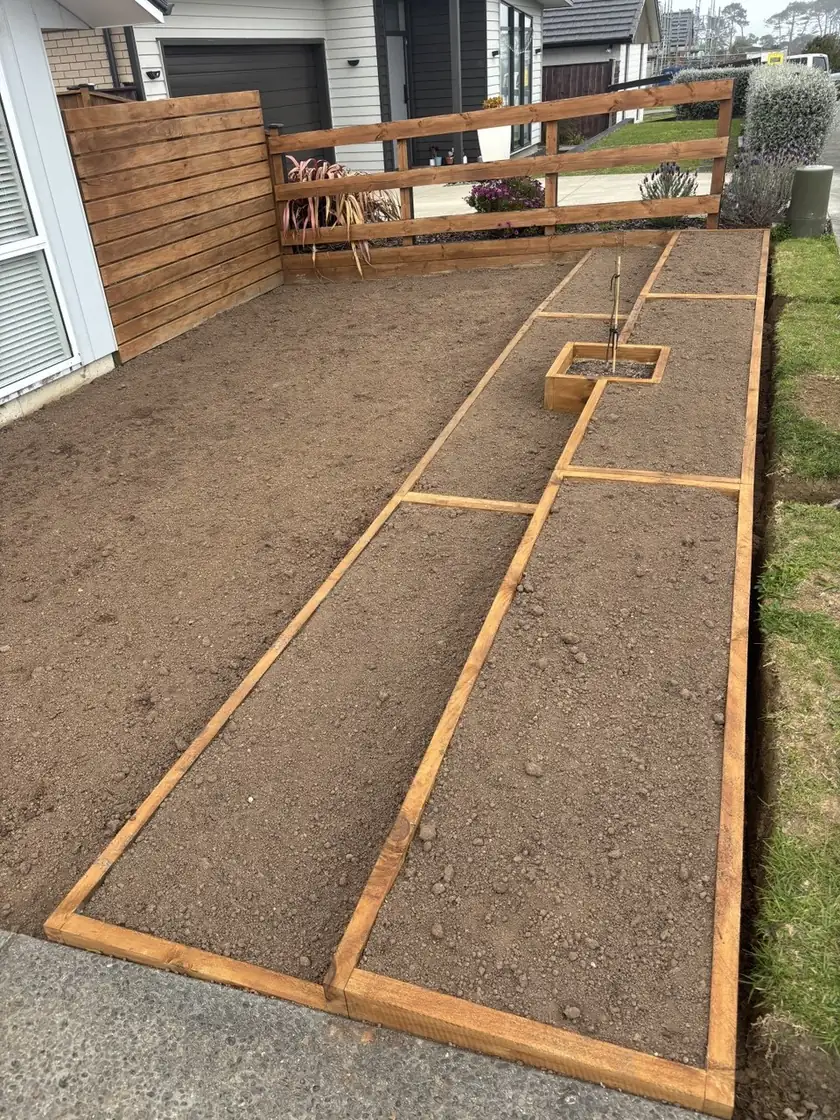 The finished stepped bed along the front of the house, every level filled with fresh soil and the young magnolia in its own small box in the middle