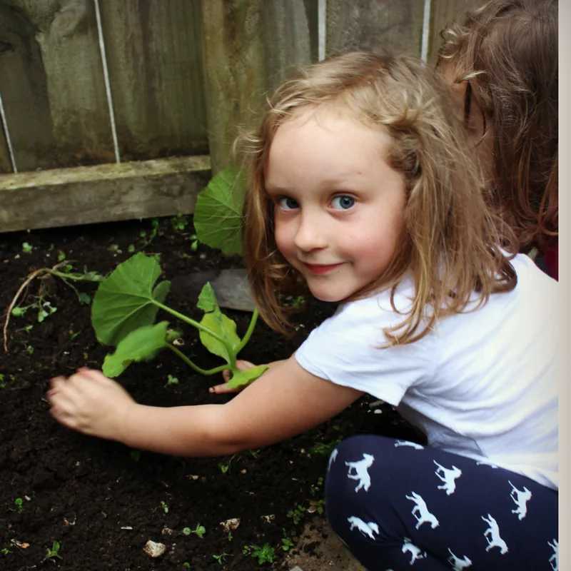 One of the girls kneeling in the bed with her hands in the soil around a young seedling, the new trellis behind her