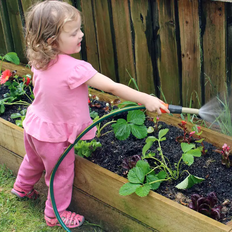 The youngest in 2015, small enough to need both hands, spraying the hose past the strawberry bed at the fence